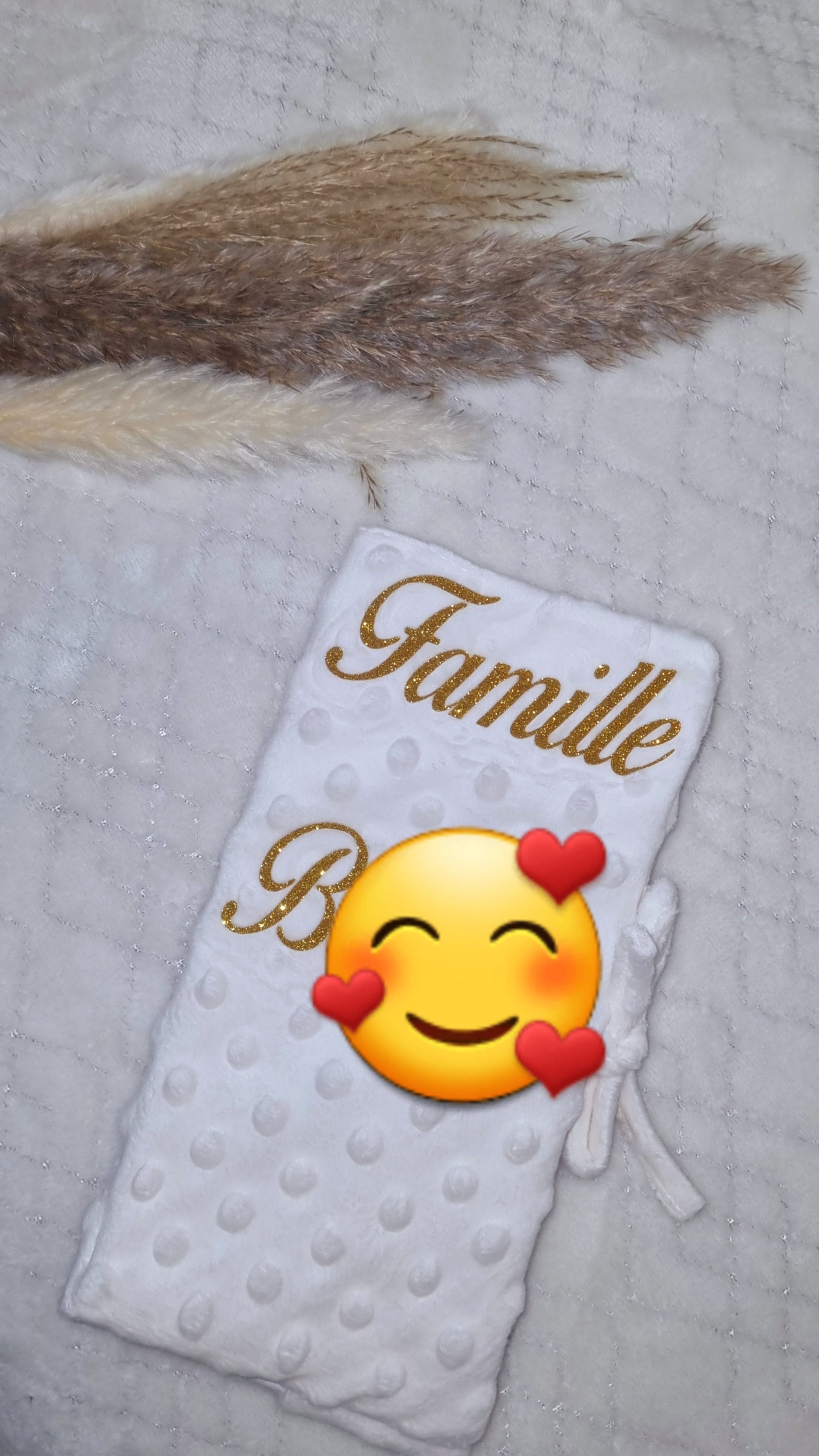 Protège livret de famille